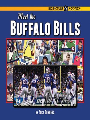 cover image of Meet the Buffalo Bills